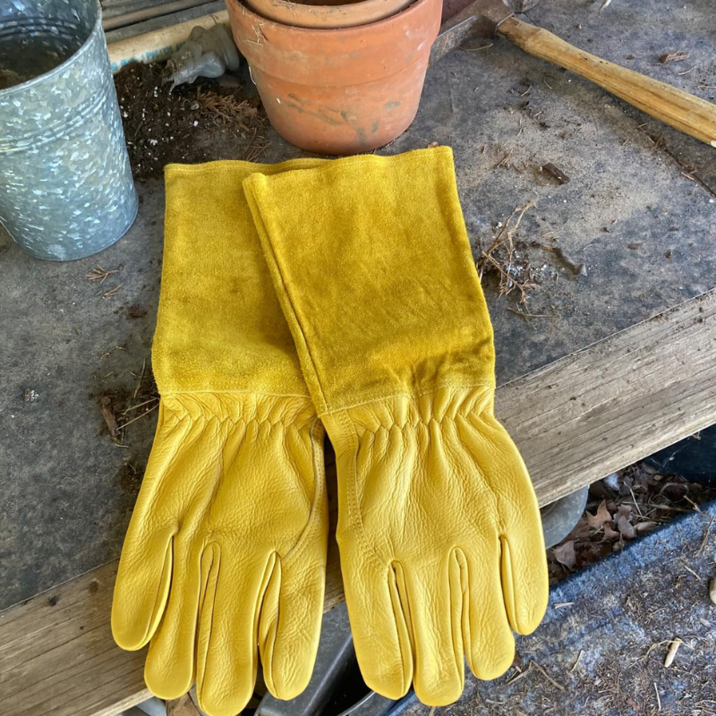 TidyGo™ Thorn Proof Pruning Gloves